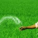 short-term-agriculture-loan-for-farmer