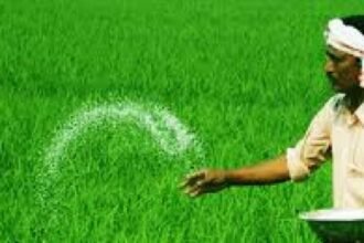 short-term-agriculture-loan-for-farmer