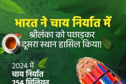 India Historic Growth in Tea Exports