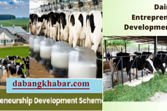 Dairy Subsidy Yojna- Dairy Farming Se Bane Crorepati