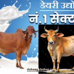 Want to Start Dairy Business and Make Huge Profits