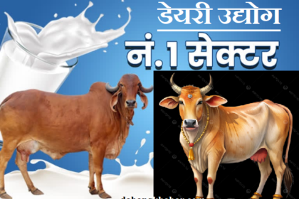 Want to Start Dairy Business and Make Huge Profits