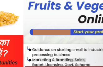 Fruit and Vegetable Dehydration Business