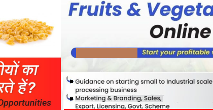 Fruit and Vegetable Dehydration Business