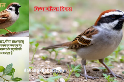 Gauraiya vilupt hone ki kagar par.