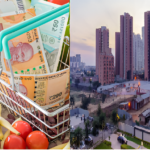 Indian Economy Warriors