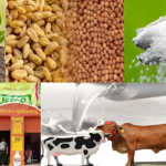 Agriculture Business Se Kamai 2025