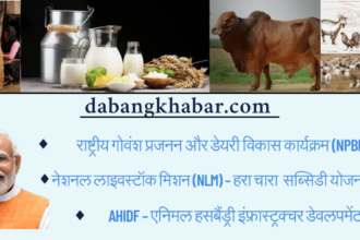 Modi Sarkar ki Ye 3 Yojana Apki Kismat Chamka Degi