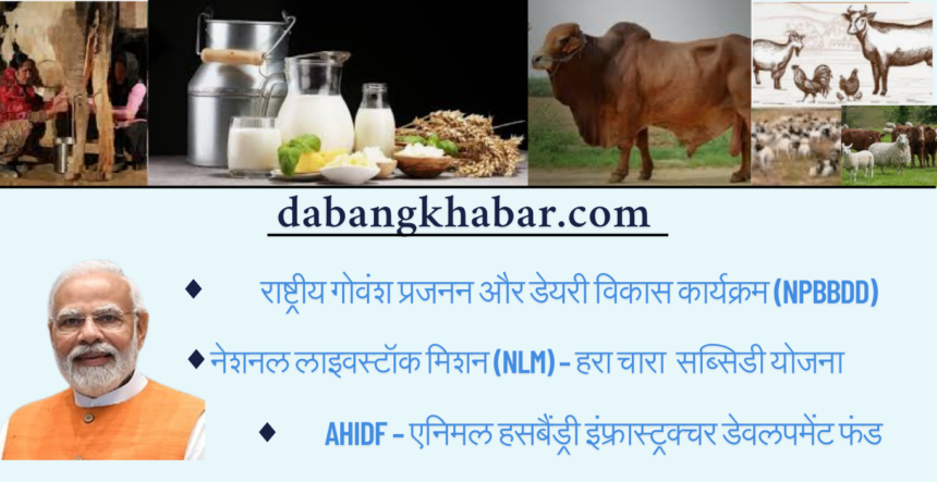 Modi Sarkar ki Ye 3 Yojana Apki Kismat Chamka Degi