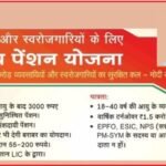 National Pension Scheme for Traders 2025: