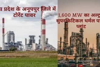 Torrent Power Mega Investment in Madhya Pradesh: