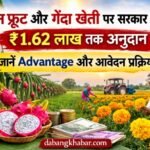 Genda & Dragon Fruit Subsidy Yojana UP 2026: