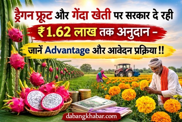 Genda & Dragon Fruit Subsidy Yojana UP 2026: