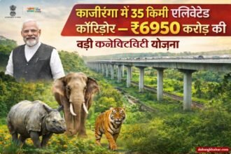 Kaziranga Elevated Corridor Project 2026: